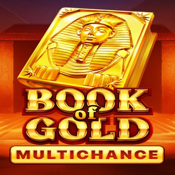 Book of Gold Multichance online game logo by Playson on bonus-kong.eu